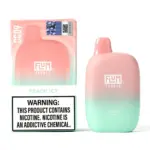 Float Pebble by Flum 6000 Puffs 5% Nicotine