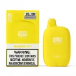 Float Pebble by Flum 6000 Puffs 5% Nicotine
