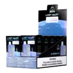 Blueberry Ice Lost Mary OS5000