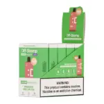 Dragon Melon Ice OFF STAMP SW16000 Disposable