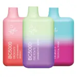 BC5000 Zero Nicotine Sampler Pack