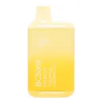 Pineapple Coconut Ice BC5000