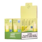 Pineapple Coconut Ice BC5000