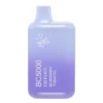 Blueberry Tobacco BC5000