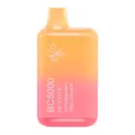 Strawberry Piña Colada BC5000
