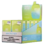 Arctic Icy FLUM Pebble