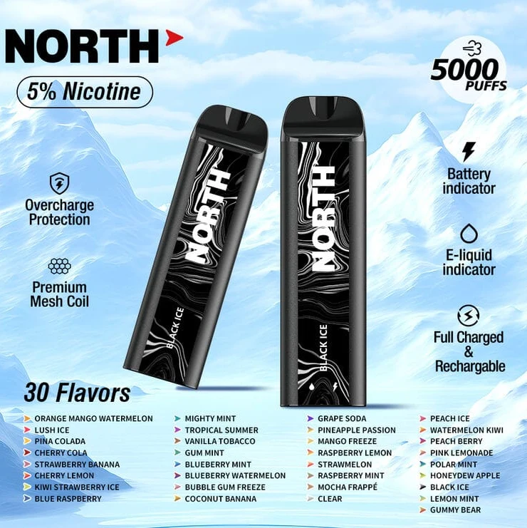 North 5000 Disposable Vape