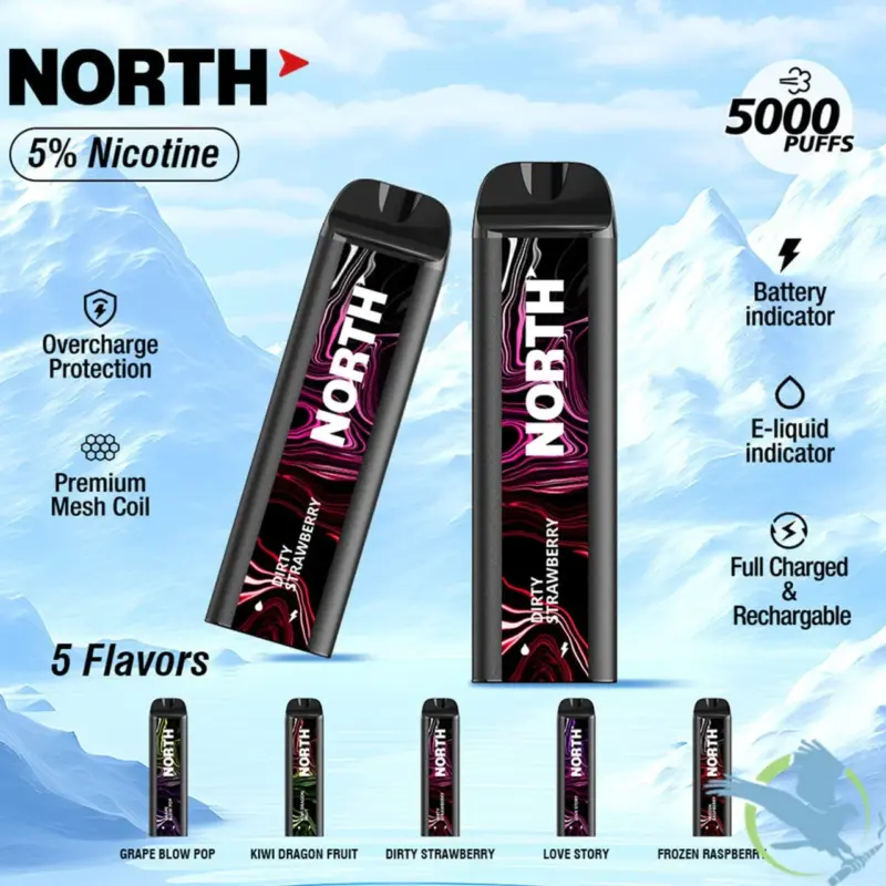 North 5000 Disposable New August 2025
