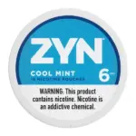 Cool Mint ZYN Pouches