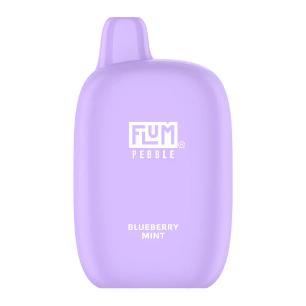 purse vapes flavors Blueberry Mint FLUM Pebble